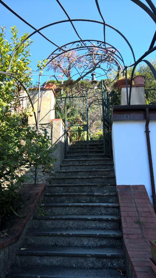 La Depandance Della Nonna Διαμέρισμα Camogli Εξωτερικό φωτογραφία