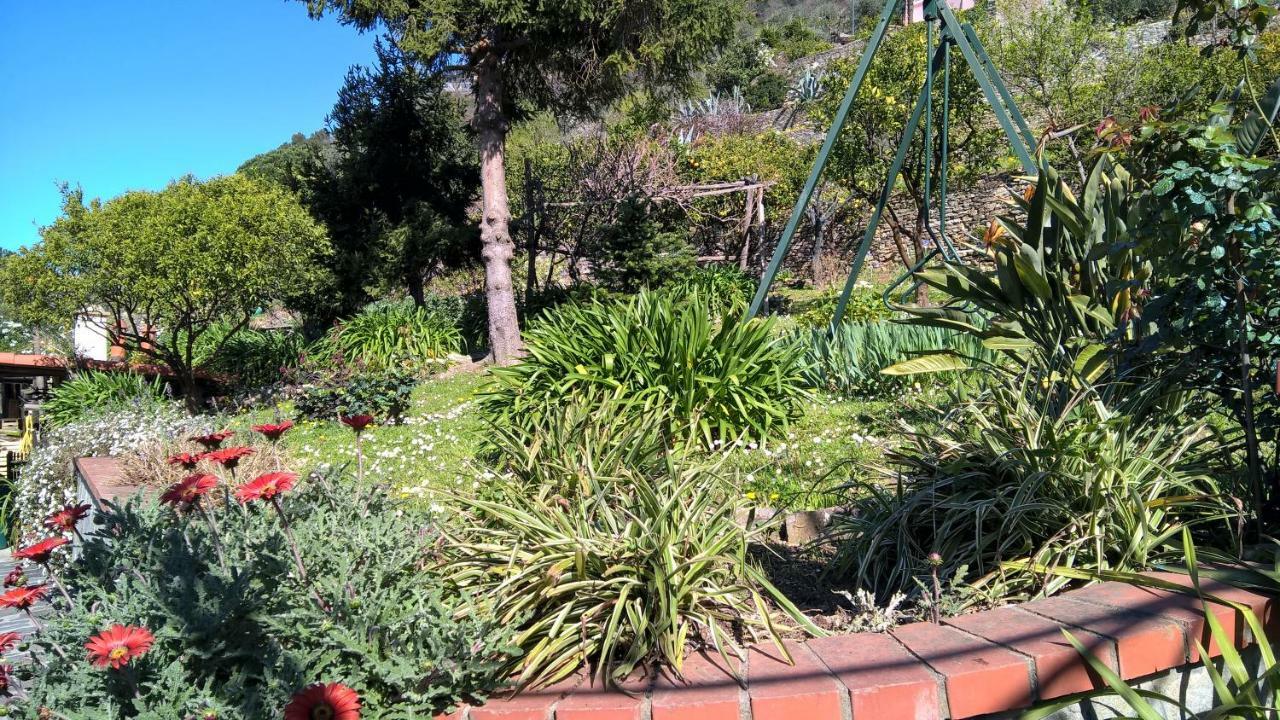La Depandance Della Nonna Διαμέρισμα Camogli Εξωτερικό φωτογραφία